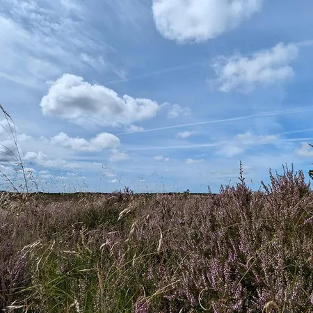 6 Person In Romo Casa vacanze *