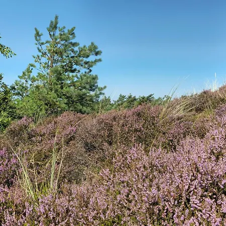 Casa vacanze 6 Person In Romo *