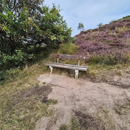 6 Person In Romo Nyaraló Bolilmark