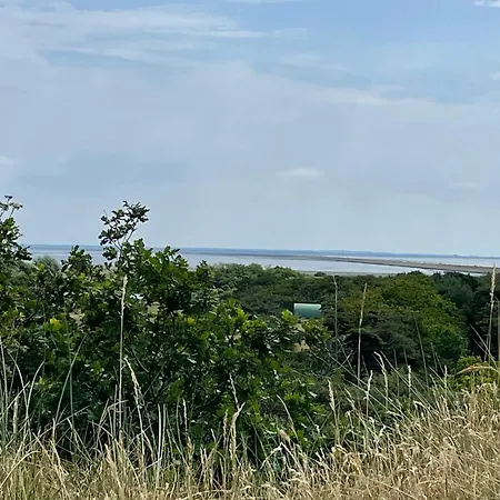 6 Person In Romo * Bolilmark