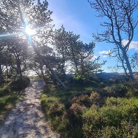 Nyaraló 6 Person In Romo