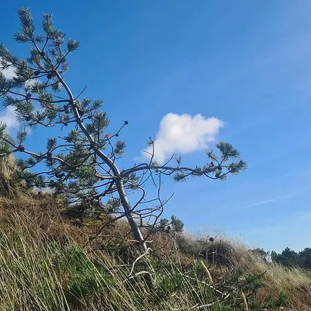 Nyaraló 6 Person In Romo *