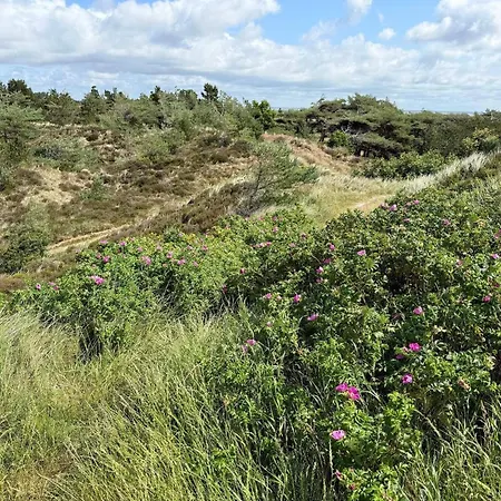 6 Person In Romo Casa vacanze *