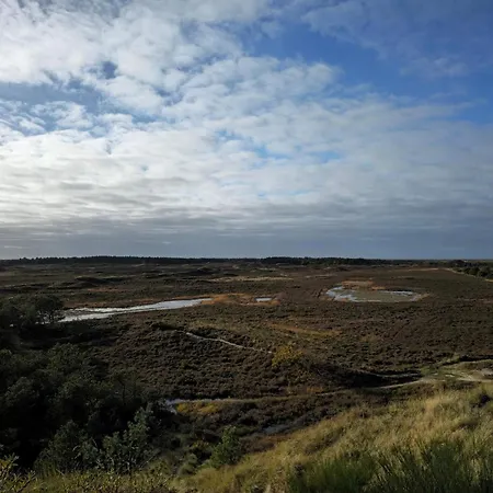 6 Person In Romo * Bolilmark