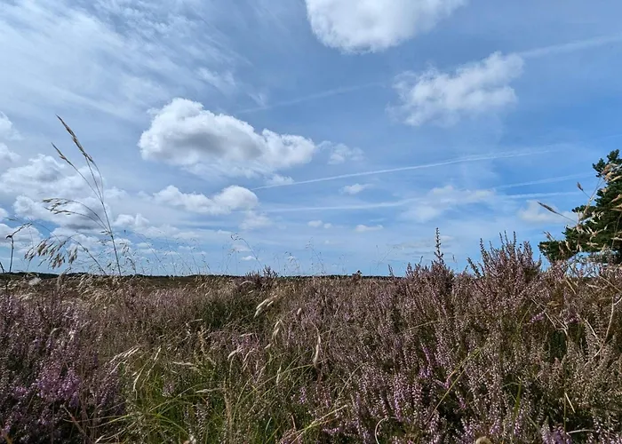 6 Person In Romo Tatil Evi *