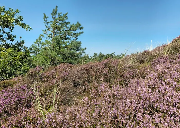 Tatil Evi 6 Person In Romo *