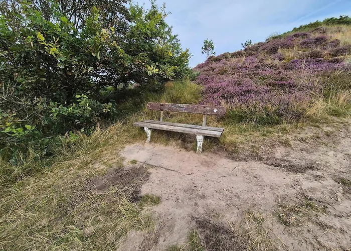 6 Person In Romo Tatil Evi Bolilmark