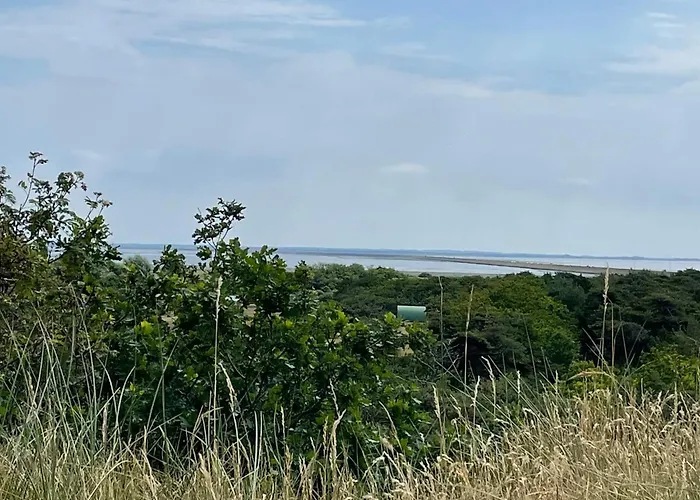 6 Person In Romo * Bolilmark