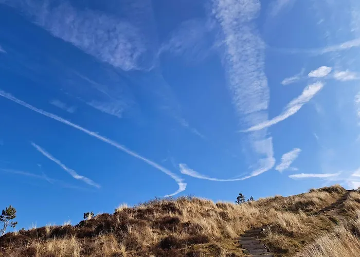 6 Person In Romo Tatil Evi