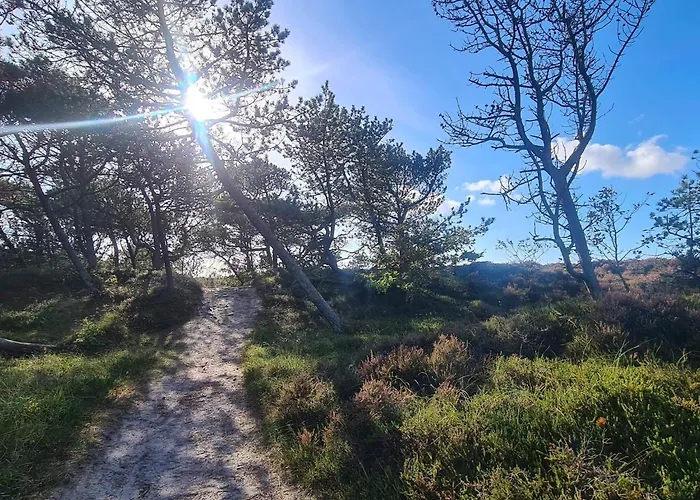 Tatil Evi 6 Person In Romo