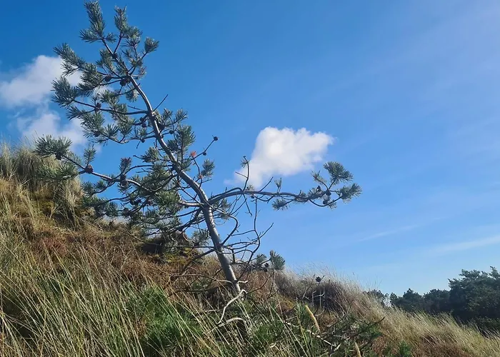 Tatil Evi 6 Person In Romo *