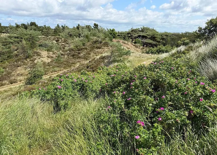 6 Person In Romo Tatil Evi *