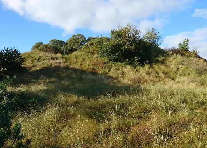 Tatil Evi 6 Person In Romo Bolilmark