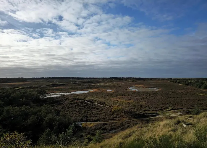 6 Person In Romo * Bolilmark